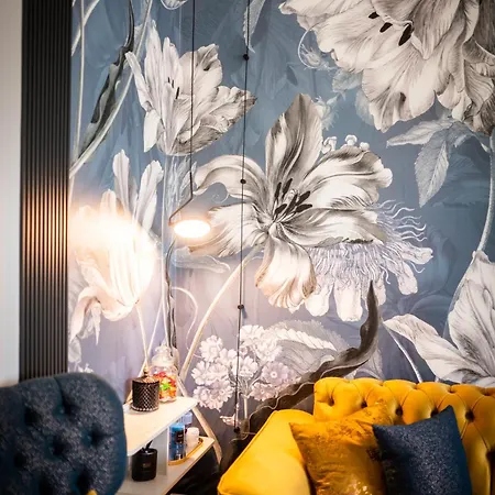 A&k Cozy Art 2 * Warna